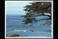 Impressionen 2 Monterey - Pismo Beach (6).jpg